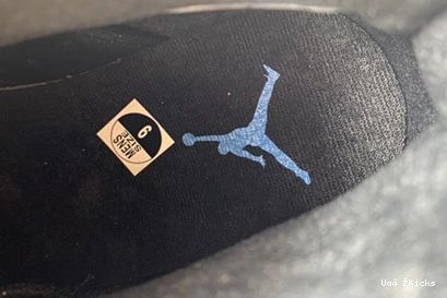 384664 432 613 6 Jordan TopPick Retro UNC 0820